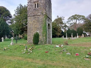Council issues warning after dog poo found in cemetery