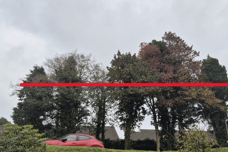 A marked photograph showing the trees at Bodmin Hospital which would have seen a reduction in height in the plans (Picture: Cornwall Council)