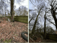 Planning: Permission granted for removal of trees at holiday park