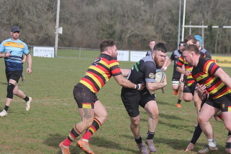 Cohen Larson. Saltash rugby