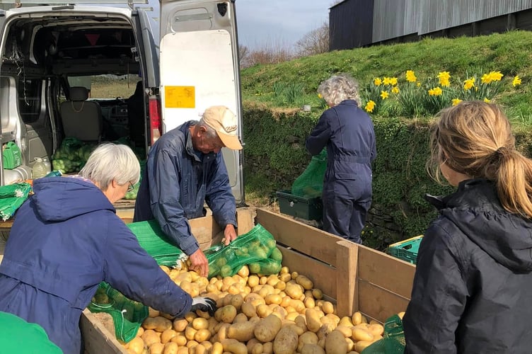 Volunteers from Gleaning Cornwall helping to address food poverty in the county