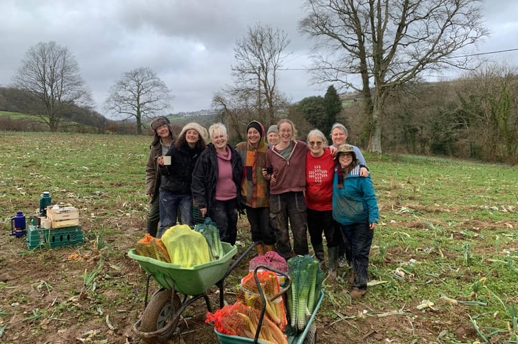 Volunteers from Gleaning Cornwall helping to address food poverty in the county