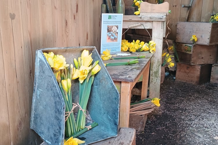 The Tamar Valley National Landscapes exhibit in the packing shed focused on the market gardening heritage of the Tamar Valley with reference to 30 little known facts. (Picture: Tamar Valley National Landscapes)