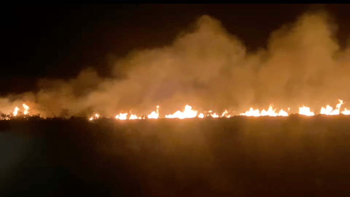 Cornwall Fire Crews Battle Large Moor Blaze Amid Rising Incidents ...