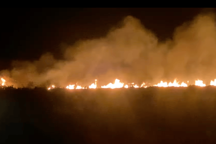 A stretch of the fire at Rosenannon Downs (Picture: Pete Cherry)