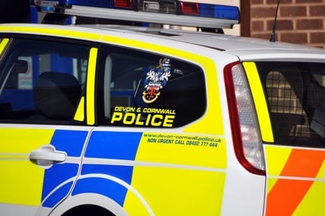 Police investigate after dead fox cubs found hanging from road sign