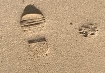 Dog walkers fined during Cornwall beach ban