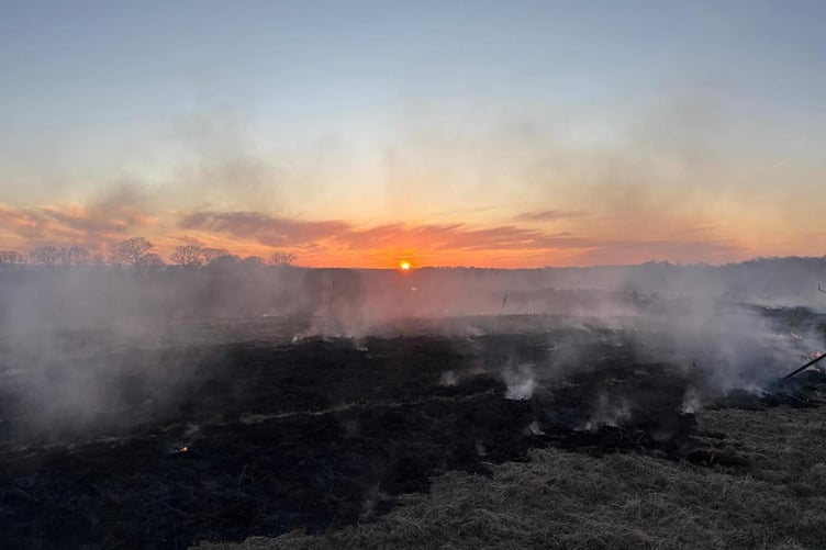 The extinguished fire on land at St Giles on the Heath (Picture: Holsworthy Fire Station)