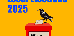 Full list of candidates for Holsworthy local elections revealed 