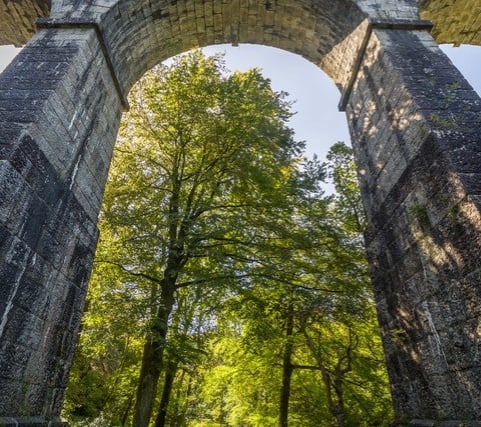 Heritage trust to host nature activity day at architectural wonder