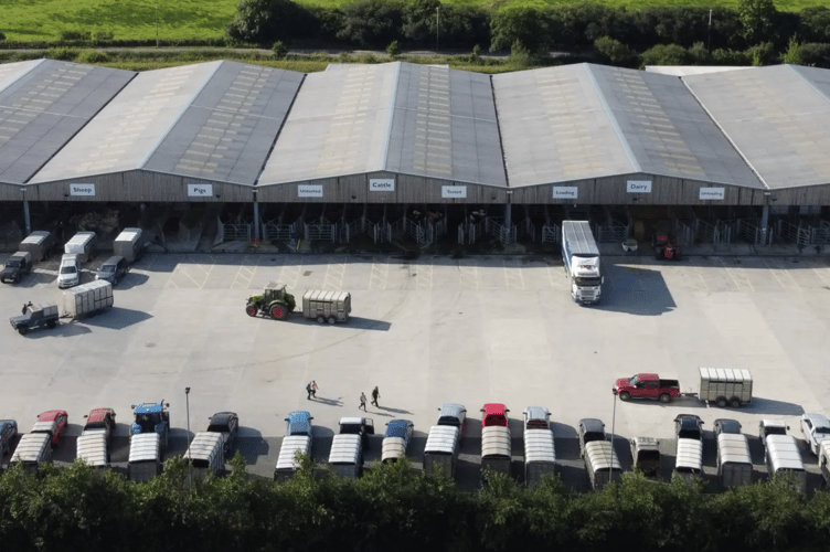 Holsworthy Market.