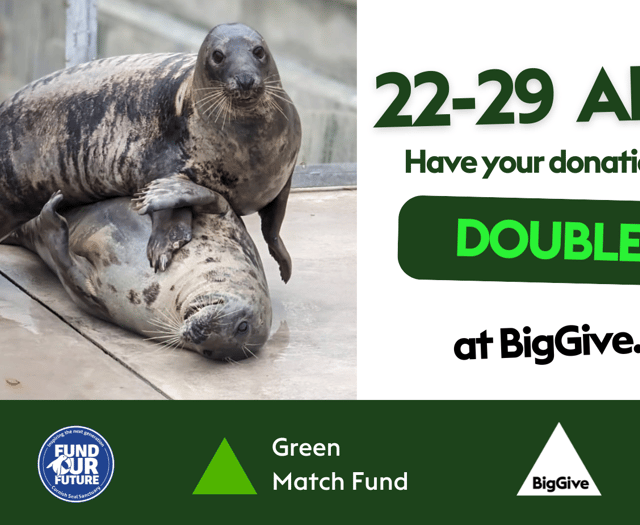 Seal sanctuary launches new campaign aimed at doubling donations