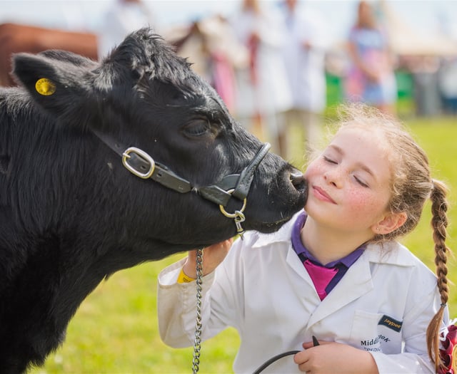 Royalty and celebrities to grace this year's Devon County Show
