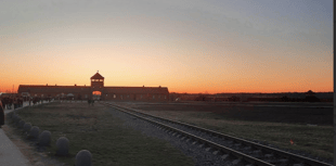 Students flown to Auschwitz for moving educational visit