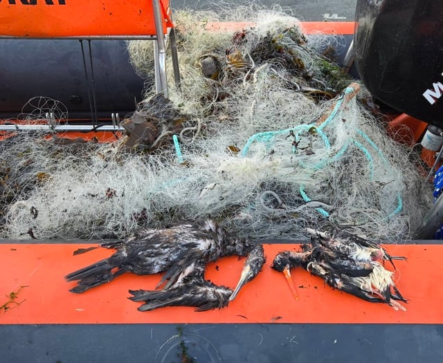 Dozens of birds and fish have died in metres of abandoned fishing net