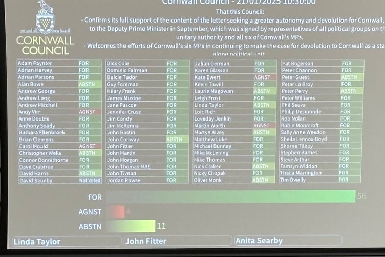 How each councillor voted in the motion. Those marked 'For' were voting in favour of a Cornwall only devolution settlement. (Picture: LDRS)