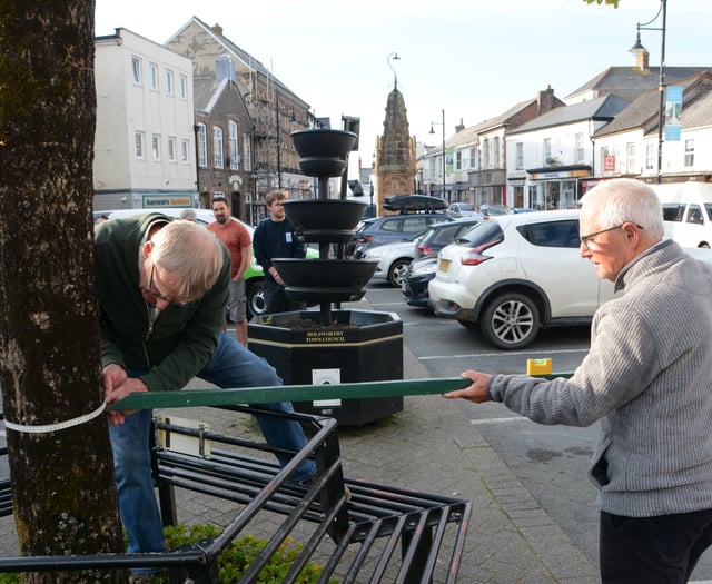 Guardians of the Great Tree of Holsworthy discover 'angel number' 