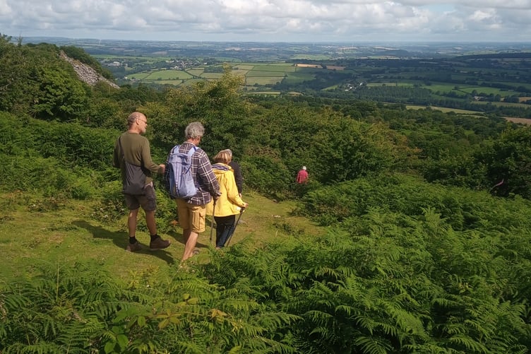 A new art project will be inviting refugees in to the Tamar Valley to help them connect with the local nature. (Picture: Tamar Valley National Landscape)