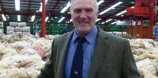 Wool prices at a seven year high as demand grows