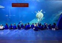 Pupils enjoy exciting trip to National Marine Aquarium