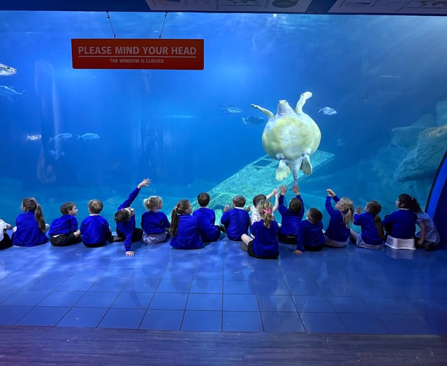 Pupils enjoy exciting trip to National Marine Aquarium