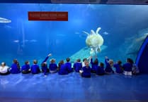 Altarnun pupils enjoy exciting trip to National Marine Aquarium