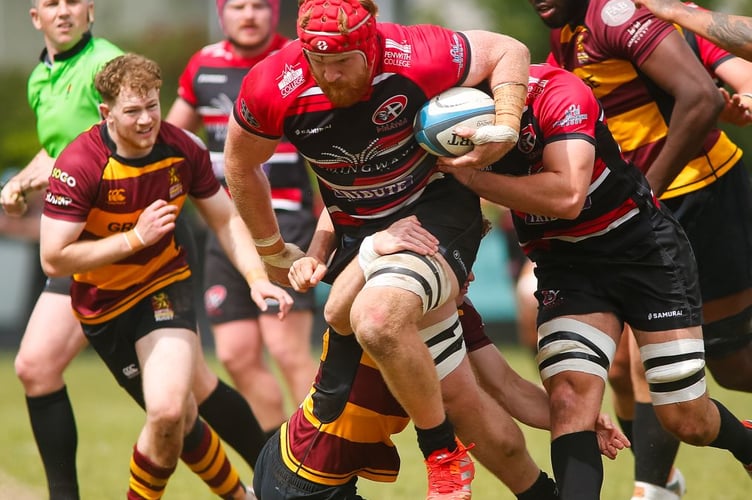 Cornish Pirates forward Matt Cannon looks to breakthrough for his side in their Championship clash with Ampthill. Picture: Brian Tempest