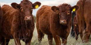 Regenerative farming achieves net zero carbon emissions