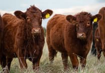 Regenerative farming achieves net zero carbon emissions