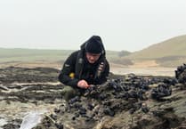 Environment Agency scientists seek new ways to save mussel power