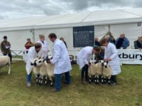 Royal Cornwall Show attendance drops