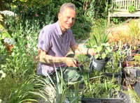 Gardening columnist will give face-to-face advice at plant sale