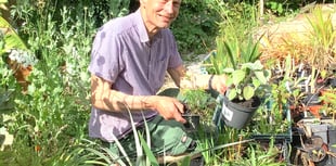 Gardening columnist will give face-to-face advice at plant sale