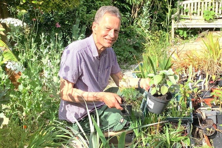 Martin Pallett will be offering face-to-face advice at the plant sale.