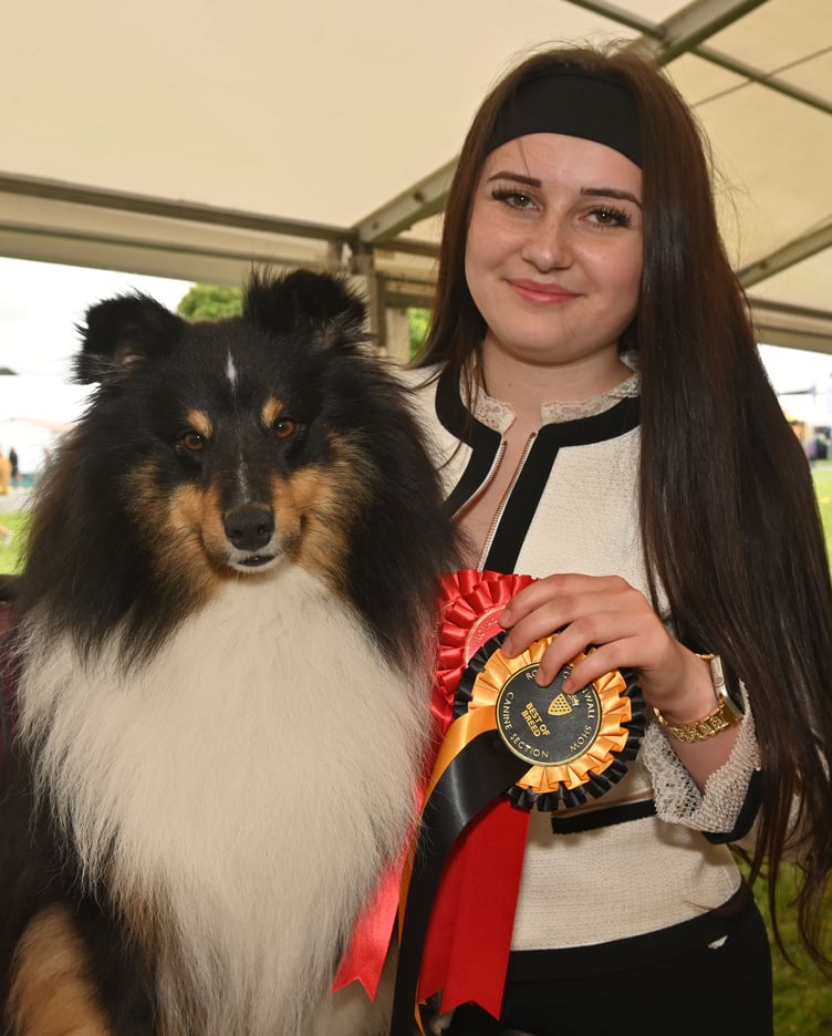 Striking Shetland Sheep Dog 'Apollo' was a good boy for Katya Robinson, 18, of Saltash. Of his many accolades this year, the three year old dog received 'Best in Breed'. Katya added: "The best part is seeing the dogs having fun!"