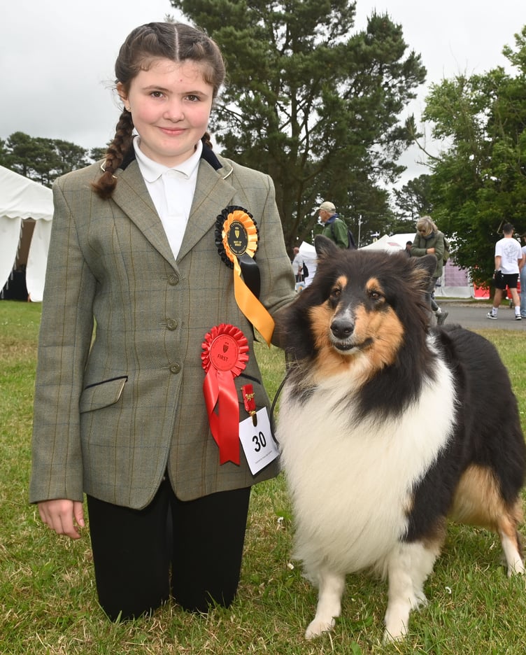 Annie Barker, 11, of Roche expertly showing Atirakin Wild Hialeah — otherwise known as 'Berry' — on behalf of James Berry from St Mawgnan. The five-year-old, female, tri-colour, Rough Collie took 'Best in Breed' in an exciting first time at the Royal Cornwall Show for the pair. Annie is home schooled and said her favourite thing had been coming to the show to see lots of people who were passionate about dogs like her