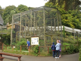 Wild Futures confirms Monkey Sanctuary closure