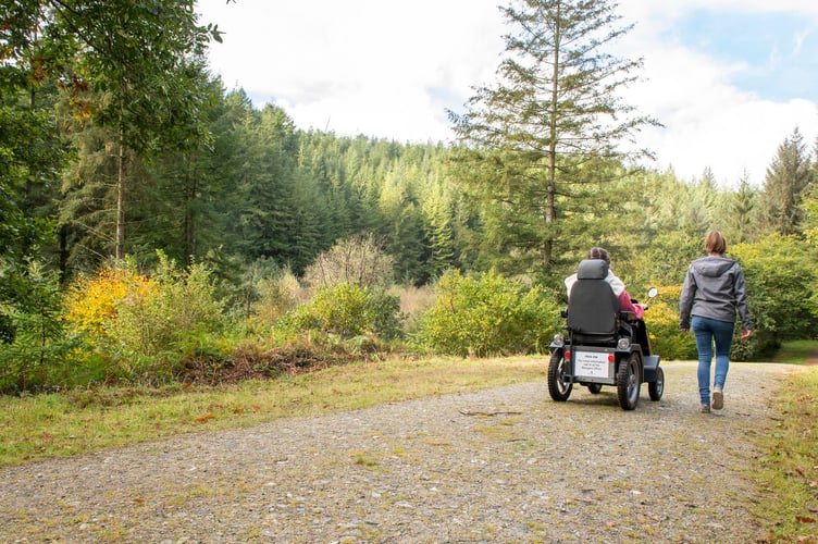 Accessible trails at Cardinham Woods.