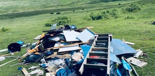MP calls for action amid "flood" of fly-tipping incidents