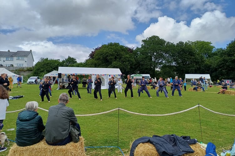 Members of the Launceston Tae Kwan Do club put on a demonstration at the Tamar Valley fete