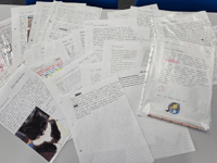 Putting language skills to the test with new pen pal project
