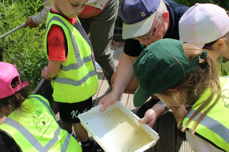 Launceston Primary Cothele