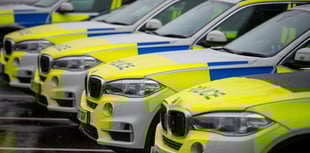 Teen charged following multiple assaults