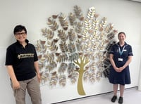 New Memory Tree at Derriford's Snowdrop Suite to remember baby loss