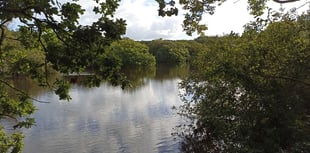Henwyn tyller/Cornish place names: Hal Gors (Redmoor)