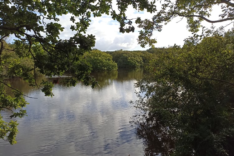 Redmoor Lake