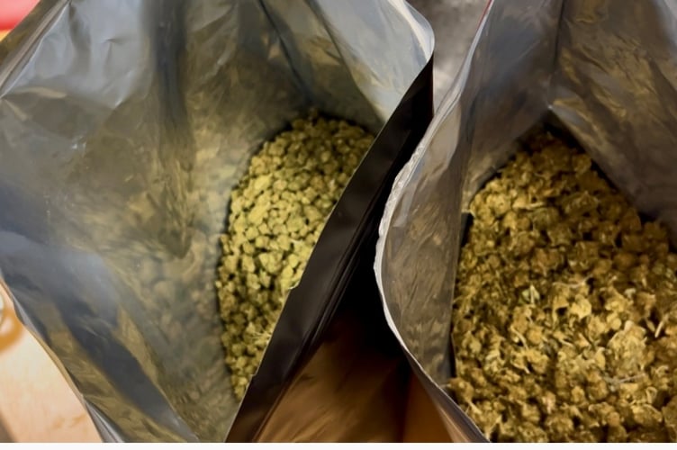 Some of the drugs seized by Devon and Cornwall Police during Operation Scorpion