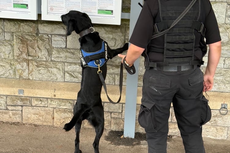 A police drugs dog carrying out its duties as part of Operation Scorpion
