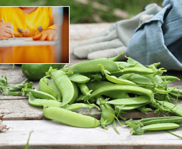 Young poets invited to celebrate British farming with pea-themed poems