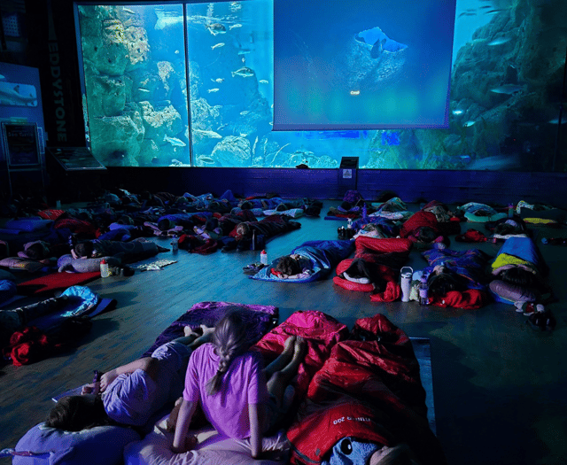 Students enjoy sleepover at the UK's largest aquarium